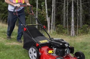 141cc Push Mower Gas Powered Review